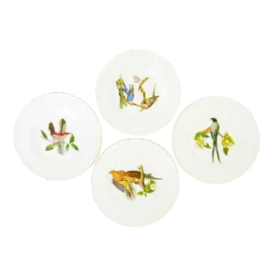 1930s Alfred Meakin Staffordshire Audubon "Birds of America" Decorative Plates, Set of 4