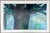 Oskar Koller “Alter Baum” 1993 Extra Large, Signed Limited Edition, 88/1000 For Sale - Image 4 of 14