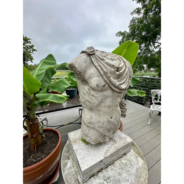 Stone Roman Marble Torso For Sale - Image 7 of 9