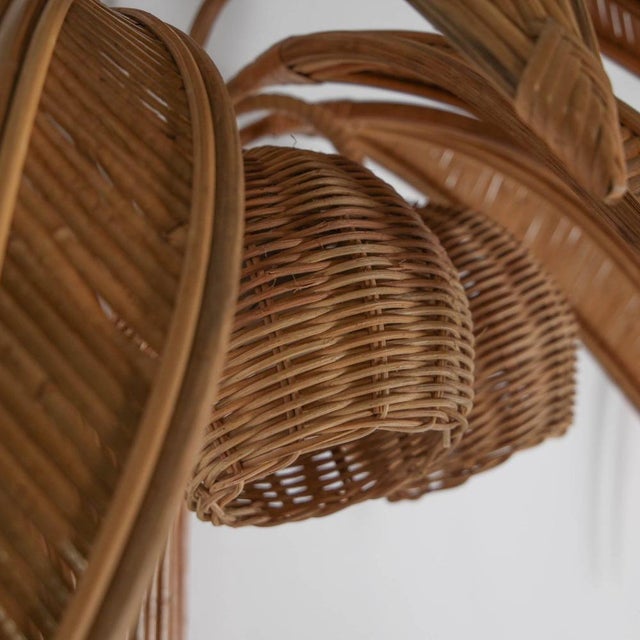 Large Palm Wall Light in Rattan For Sale - Image 12 of 15