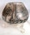 Art Nouveau Black Enamel Footed Glass Vase, Fine Quality, in the Style of Lobmeyr and Schwartzlot, Circa 1900 For Sale - Image 3 of 16