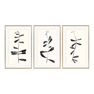 Shoot I, II and III by Susan Hable For Sale