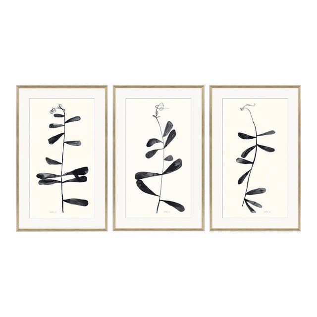 Shoot I, II and III by Susan Hable For Sale