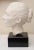 Vintage Plaster of Paris Female Head Bust Sculpture on Black Wood Base, Restored, Italy, 1960's For Sale - Image 4 of 10