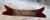 Antique Early American Americana Primitive Plank Wood Farm Bench, 19th Century For Sale - Image 14 of 18