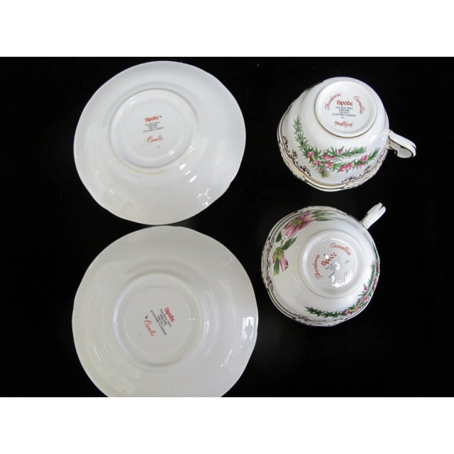 Spode Stafford Flowers Oxalis Thumberia Camellia Oxalis Cup & Saucer Set of 2 For Sale - Image 11 of 12