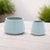 2020s Ceramic Starburst Pattern Planter (Set of 2) For Sale - Image 5 of 5
