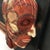 Industrial Early 20th Century Anatomical Plaque by New York Scientific Supply Co. For Sale - Image 3 of 7