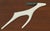 Mid-Century Modern Mid-Century Modern Teak Wall Panel with Porcelain Antelopes by Peter Mueller for Sgrafo Modern, 1960s For Sale - Image 3 of 10