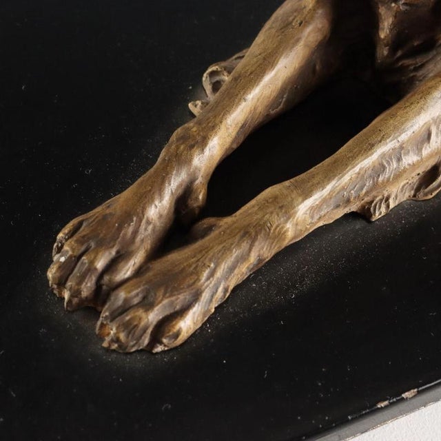 Cane in Terracotta by Arturo Pannunzio For Sale - Image 4 of 9