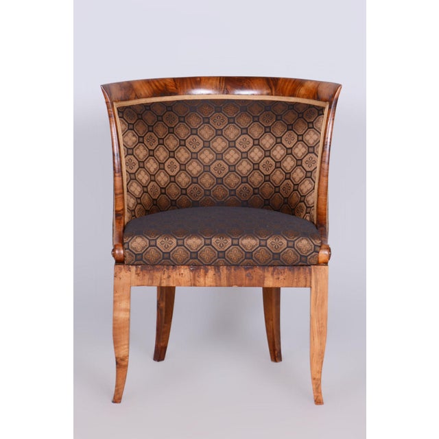 Biedermeier Walnut Armchair, Vienna, Austria, 1820s For Sale - Image 4 of 11