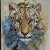 1977 Clancy Cherry Signed Leopard Oil Painting – Framed Wildlife Realism For Sale In San Francisco - Image 6 of 11