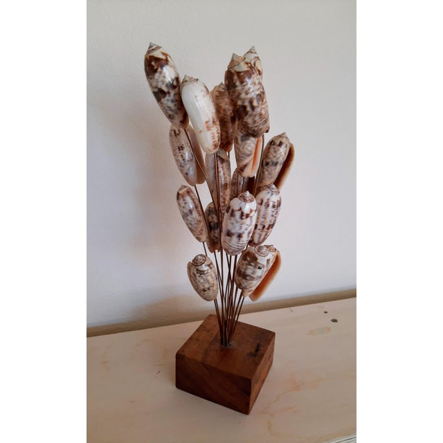 This striking accent piece showcases an array of natural seashells elegantly suspended on wire mounts atop a wooden base....