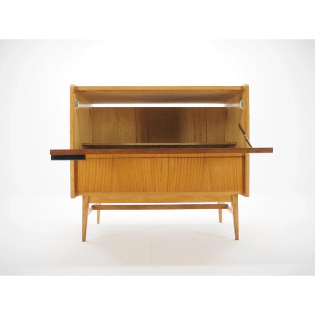 Mid-Century Storage Cabinet, Czechoslovakia, 1960s For Sale - Image 4 of 12