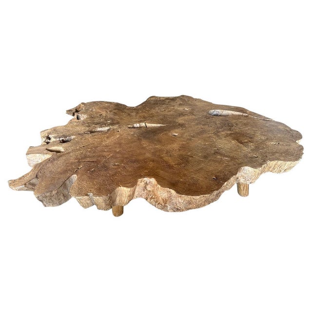 Andrianna Shamaris Monumental Rare Burl Teak Wood Coffee Table For Sale - Image 15 of 18