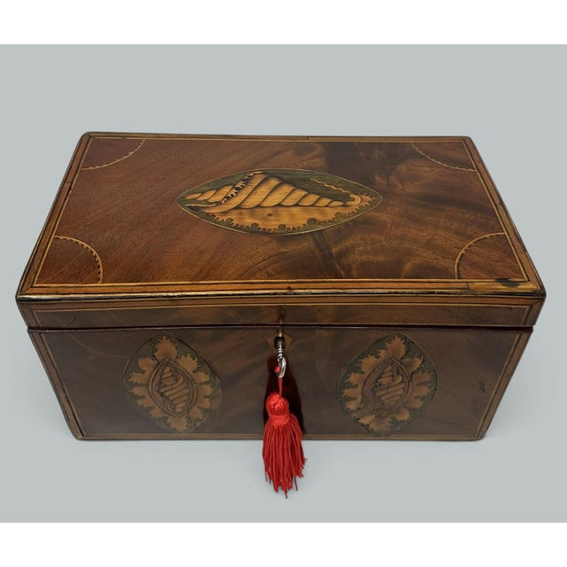 Antique Georgian Mahogany Satinwood Inlaid Jewelry Cigar Conch Shell Casket Box For Sale - Image 4 of 9