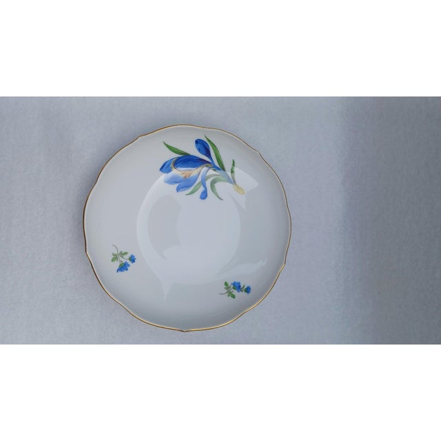 Blue Porcelain Tea Cup and Saucer with Hand-Painted Blue Crocus from Meissen, 1960, Set of 2 For Sale - Image 8 of 17