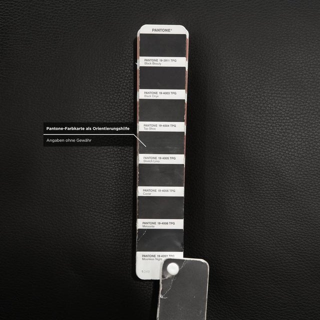 Animal Skin Black Leather 2-Seater Sofa from Ewald Schillig For Sale - Image 7 of 9