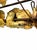 A distinctive vintage signed Curtis Jeré for Artisan House wall sculpture titled “Carriage at the Cross Roads,” executed...