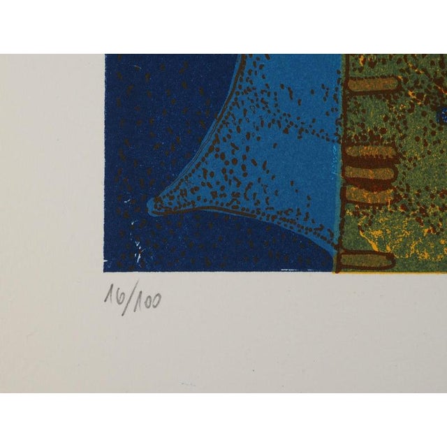 Stone Jean-Pierre Vielfaure, Underwater Diving, Lithograph For Sale - Image 7 of 8
