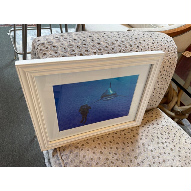 Brian Skerry Sharks on Assignment Great White Photograph, Framed For Sale - Image 4 of 12