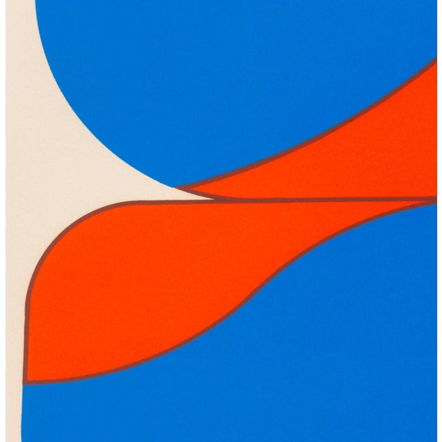 1970s Ronald Abram Infinitesimale Constantes, Silkscreen in Colors, 1970 For Sale - Image 5 of 9