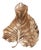 Colocasia Wall Art Large For Sale