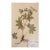Vintage Swedish Herbarium - Geranium, Circa 1926 For Sale