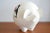 Ceramic Piggy Bank from Egersumo, Norway, 1960s For Sale - Image 4 of 13