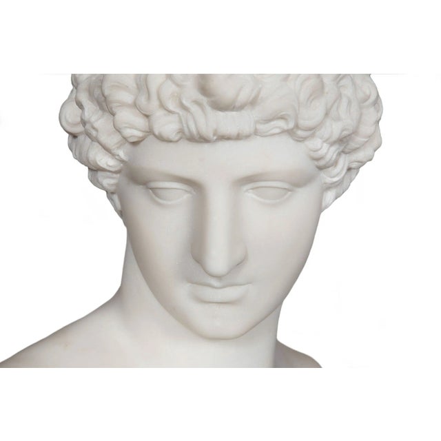 Stone Grand Tour 19th Century Marble Bust of Antinous as Hermes by Filli Pugi For Sale - Image 7 of 12