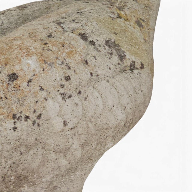 1950s French Weathered Concrete Garden Geese With Lichen Patina, Pair For Sale - Image 9 of 16