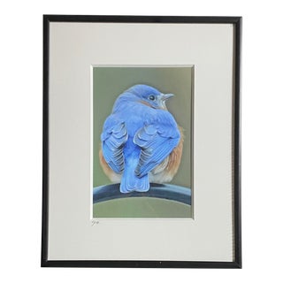 Framed Contemporary Photograph Art of a Blue Bird - Signed by Artist For Sale