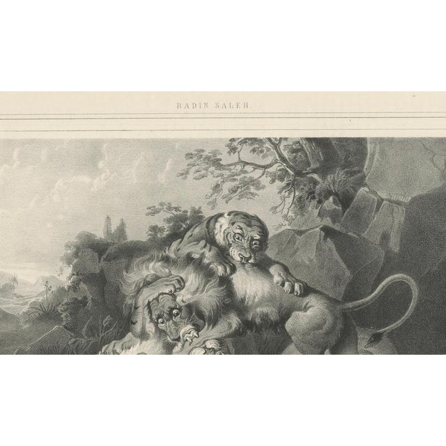Gold Raden Saleh, Tigers & Lions Fight Horse, Lithograph, 1845 For Sale - Image 8 of 10