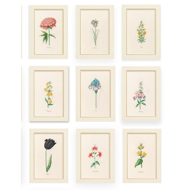 Atelier Aria Lumae Magdalena Rosina Funck Style Botanical Miniature Passe Partout Prints Complete 30 Piece Set A4 For Sale - Image 12 of 18