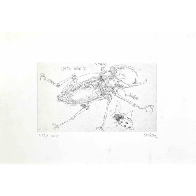 Insects is an etching realized by sergio barletta in 1974. Hand-signed in pencil on the lower right. Numbered on the lower...