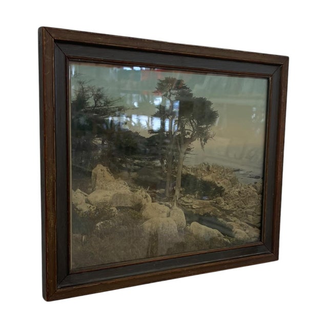 Coastal Vintage Framed Tinted Coastal Landscape Photograph of Cypress Trees on Rocky Shoreline. For Sale - Image 3 of 10