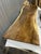 Contemporary Live Edge Single-Slab Monkeypod Dining Table, Bullseye Figure and Natural Void For Sale - Image 3 of 4