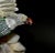 Gemstone Large Majestic Rock Crystal Quartz Eagle Gemstone Sculpture For Sale - Image 7 of 12