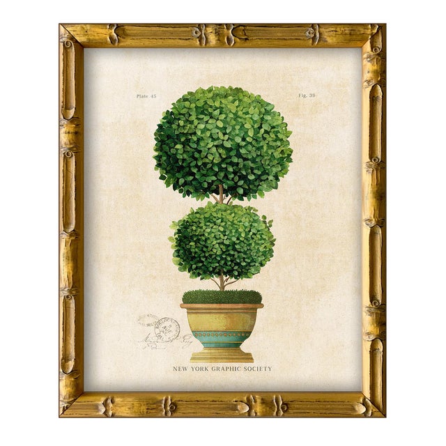2020s Framed Reproduction Vintage "Topiary Garden (Set of 4)" Art Prints For Sale - Image 5 of 7