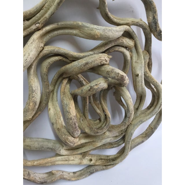 Vine Disc Natural For Sale - Image 4 of 8