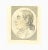 The Profile is an original etching artwork realized by Thomas Holloway for Johann Caspar Lavater's "Essays on Physiognomy,...