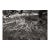 Landscape Digital Archival Print "Bush #3" by Jacques Gael Cressaty 2025 For Sale