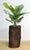 Rustic Storage Planter, 1900 For Sale - Image 9 of 10
