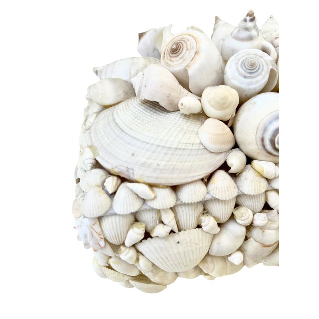 Vintage White Seashell Covered Box Sailor’s Valentine For Sale - Image 10 of 15