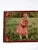 This 19th-century woven tapestry depicts a charming pastoral scene of a young girl with her sheep. The decorative wall...