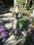 An antique and very unusual garden sculpture from England. A boy sits atop a garland-covered column, playing what I...