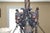 19th Century Bronze 4 Light Etched Glass Shade Gas Chandelier Gasolier For Sale - Image 14 of 18