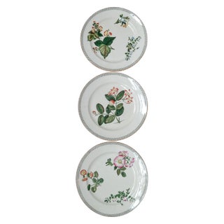 Late 19th Century Wedgewood Creamware Botanicals Plates- Set of 3 For Sale
