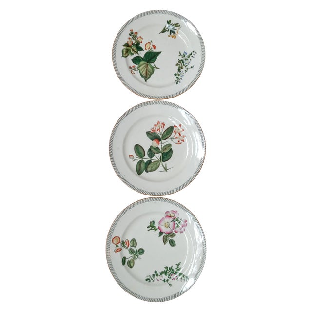 Late 19th Century Wedgewood Creamware Botanicals Plates- Set of 3 For Sale