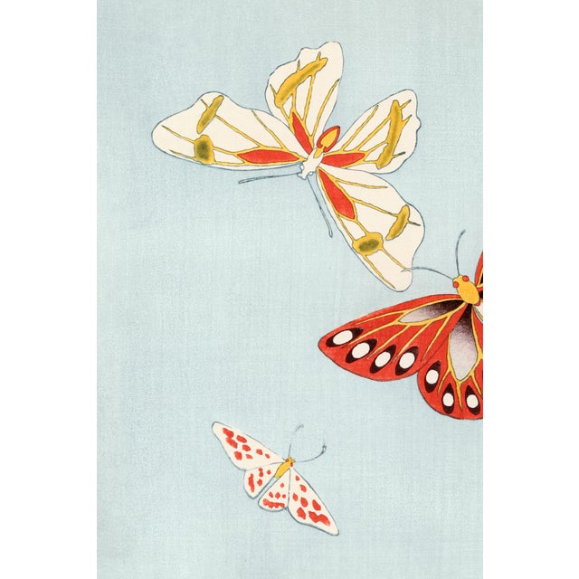 Japanese butterfly art print by Kamisaka Sekka, reproduced from the 1904 Cho senshu (One Thousand Butterflies) series,...